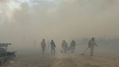 Огонь от горящего камыша в Алматинской области перекинулся на лес. Завели уголовное дело