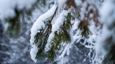 Какой будет погода перед Новым годом, рассказали в "Казгидромете"