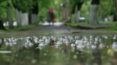 Прогноз погоды на 15 мая: дождь, гроза, шквал ожидаются на большей части Казахстана