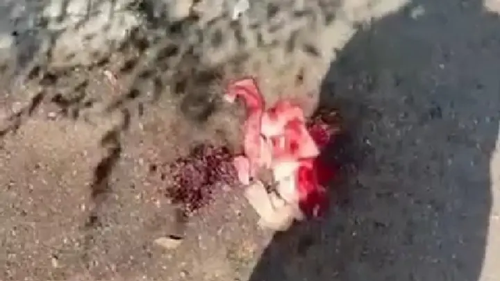 Кусок льда сбросили из многоэтажки на голову жительницы Павлодара, полиция проводит проверку