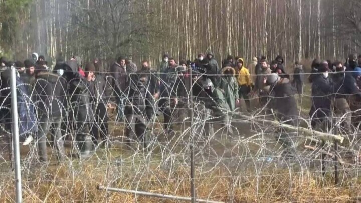 Мигранты прорвали заграждение на белорусско-польской границе. Слышны выстрелы