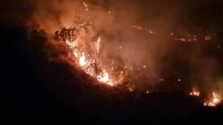 В зоне лесного пожара в Греции обнаружили тела 26 человек