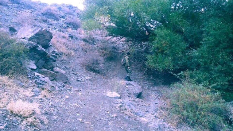 В Жамбылской области продолжаются поиски пропавшего военного после взрывов на складе боеприпасов