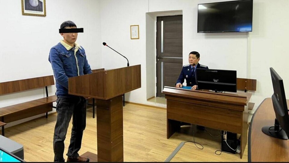 Полгода ограничения свободы получил житель Конаева, убивший котёнка