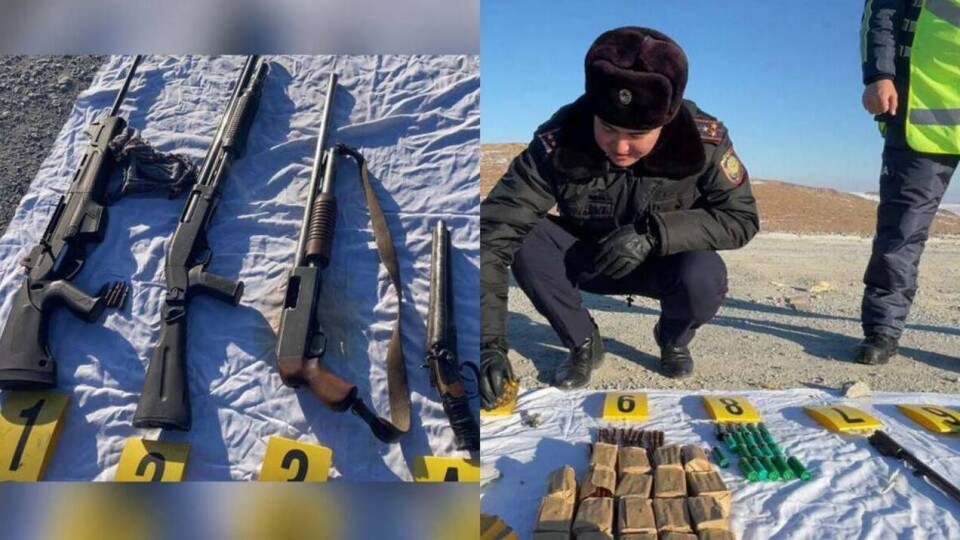 Ящик с патронами и боевые гранаты обнаружили в Конаеве в лесополосе