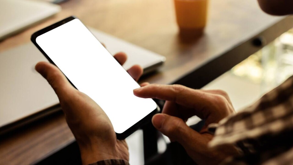 Двух жительниц Кокшетау осудили за создание финпирамиды в WhatsApp