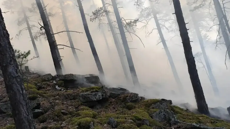 Фото ГНПП "Бурабай"