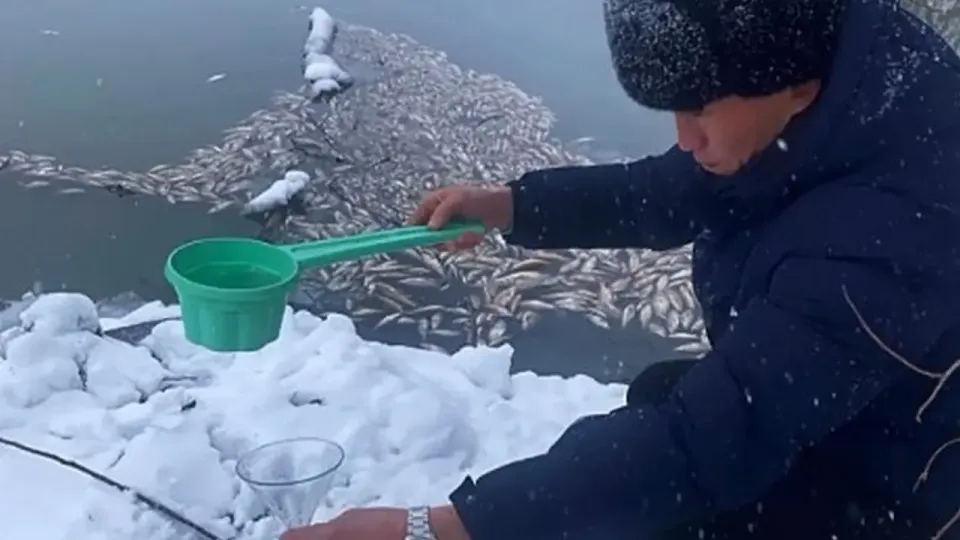 Кадр с видео департамента экологии Акмолинской области