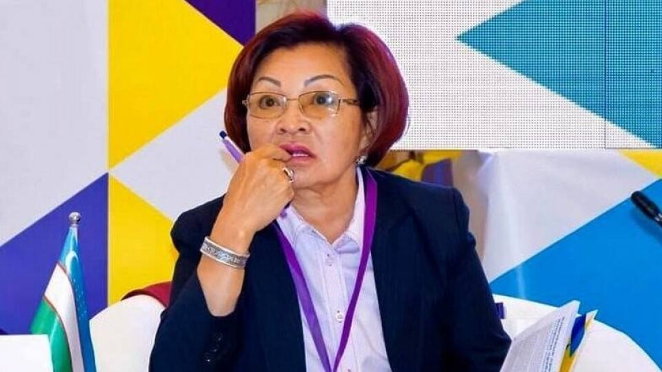 Жемис Турмагамбетова об указе в области прав человека: Выработанные меры должны учитывать предложения гражданского общества