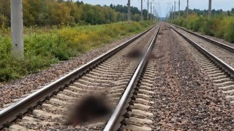 Фото ДП на транспорте