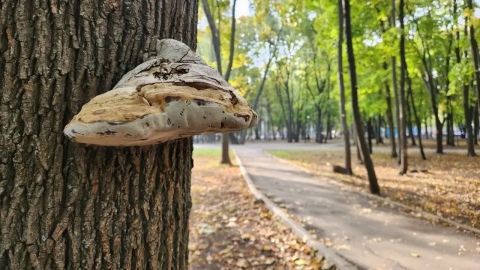 Фото Informburo.kz