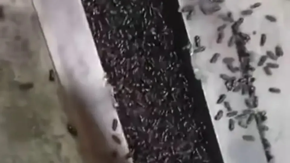 Кадр из видео