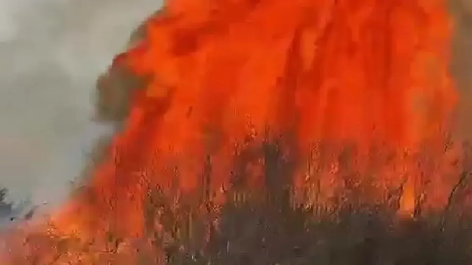 Кадр с видео МЧС