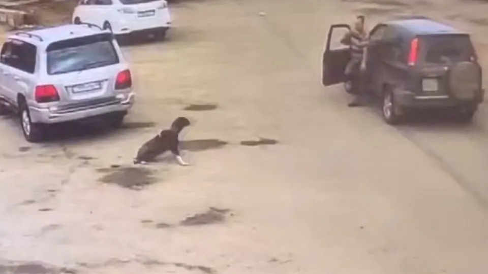 Скриншот с видео