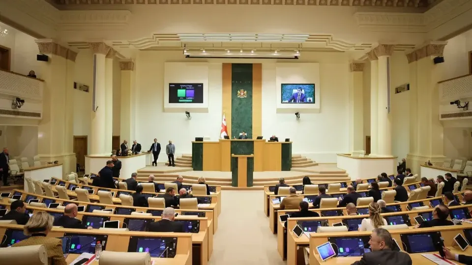 Фото со страницы парламента Грузии в Facebook