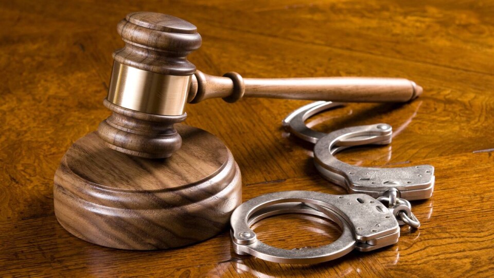 200 членов итальянской мафии приговорили в общей сложности к 2200 годам тюрьмы