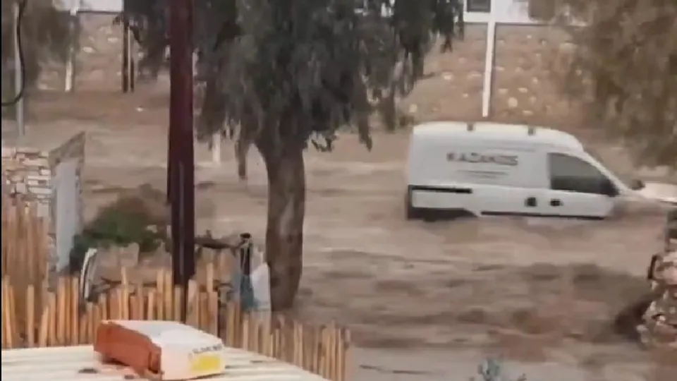 Скриншот с видео в X