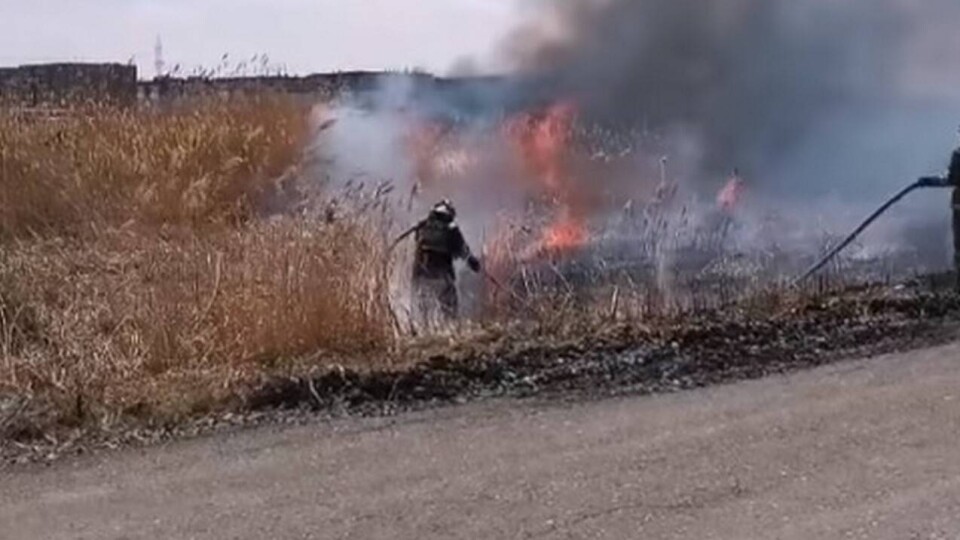 В Астане в районе Нура горит камыш