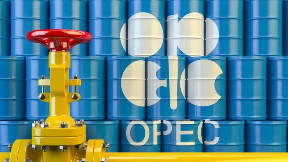 Фонд развития ОПЕК впервые продал облигации и заработал 1 млрд долларов