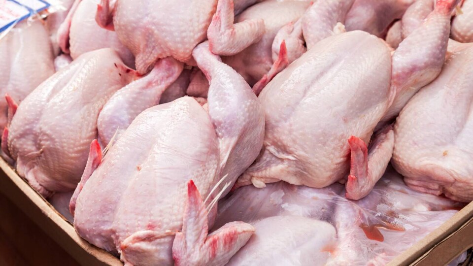 Китай снял ограничения на ввоз птицеводческой продукции из Казахстана, действовавшие почти 20 лет