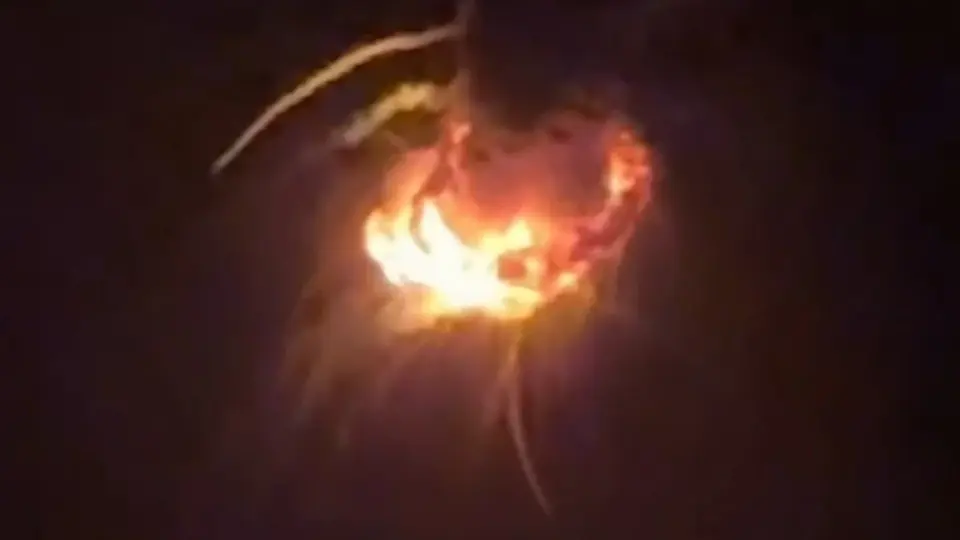 Кадр из видео в X