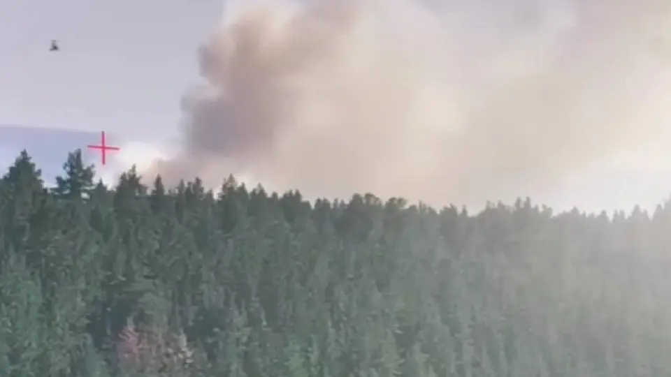 Кадр с видео Министерства экологии и природных ресурсов