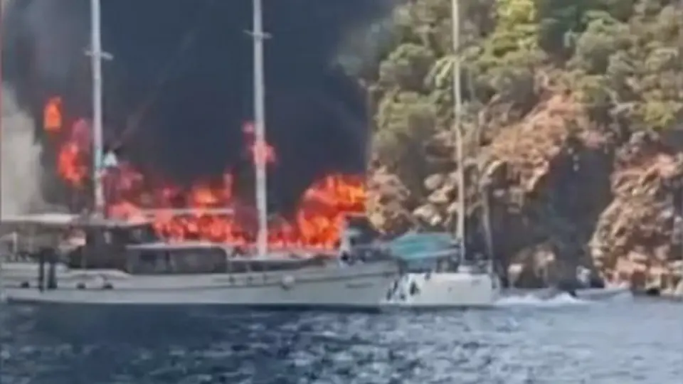 Фото с видео в X