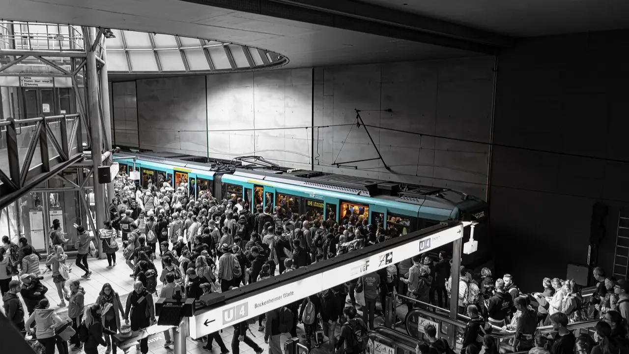 Фото Pixabay.com