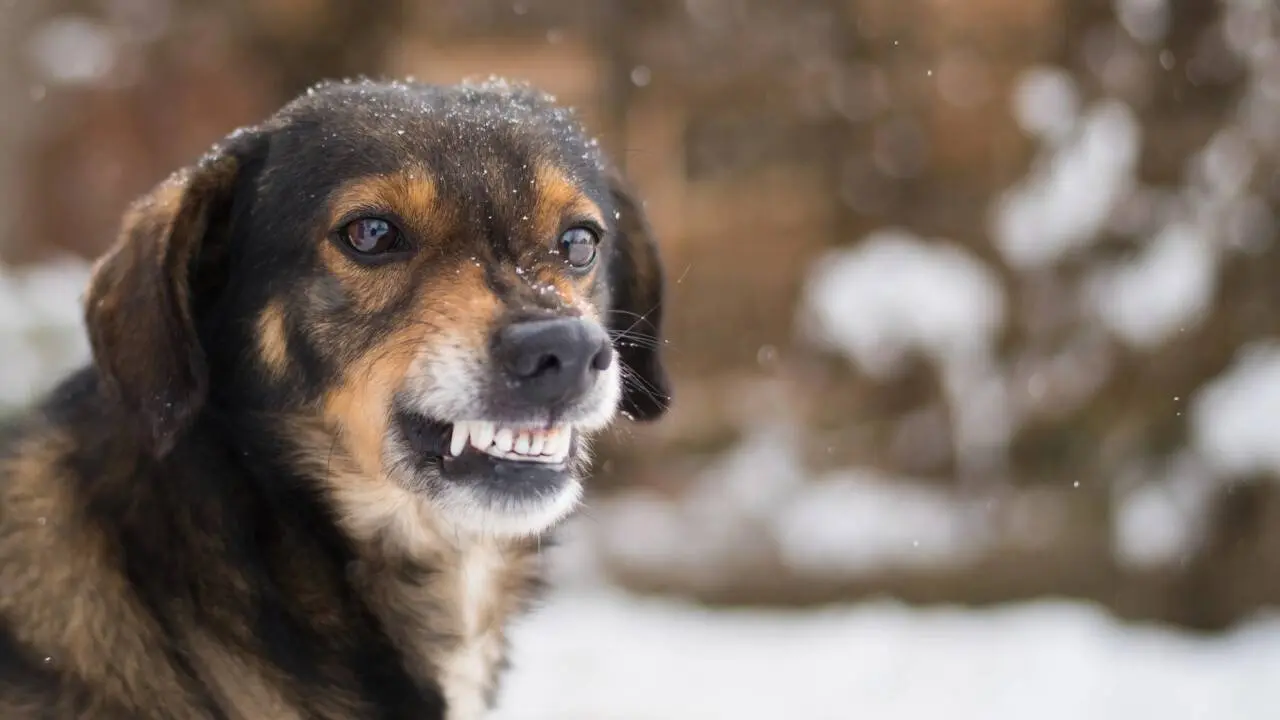 Фото Depositphotos.com