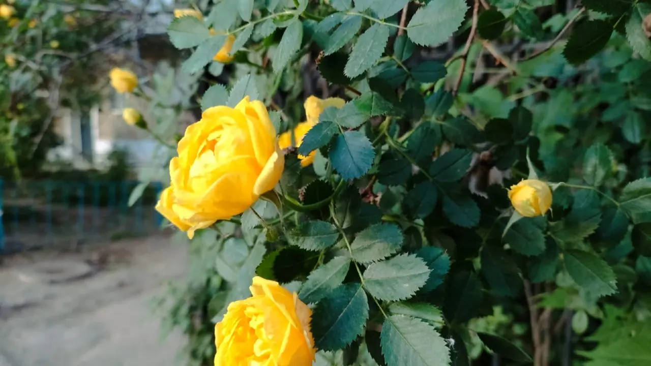 Фото Informburo.kz