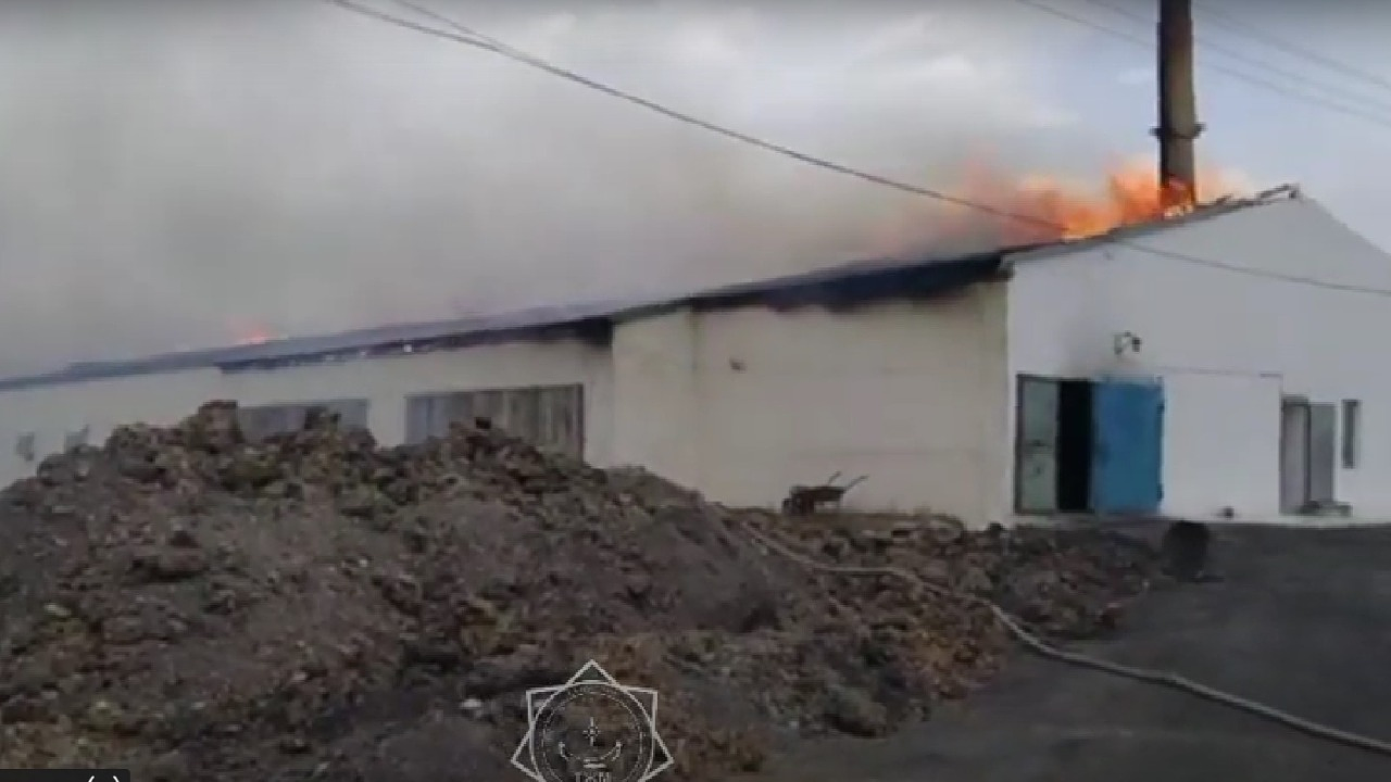 Кадр из видео МЧС