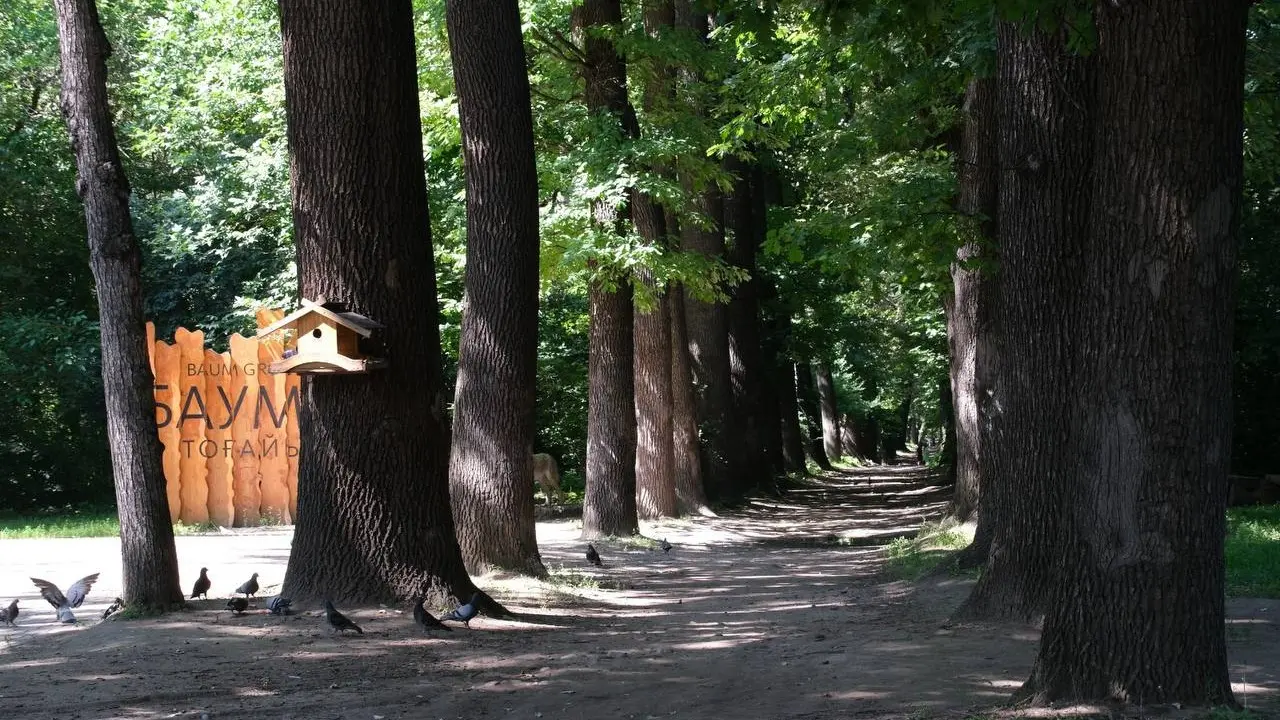 Фото акимата Алматы