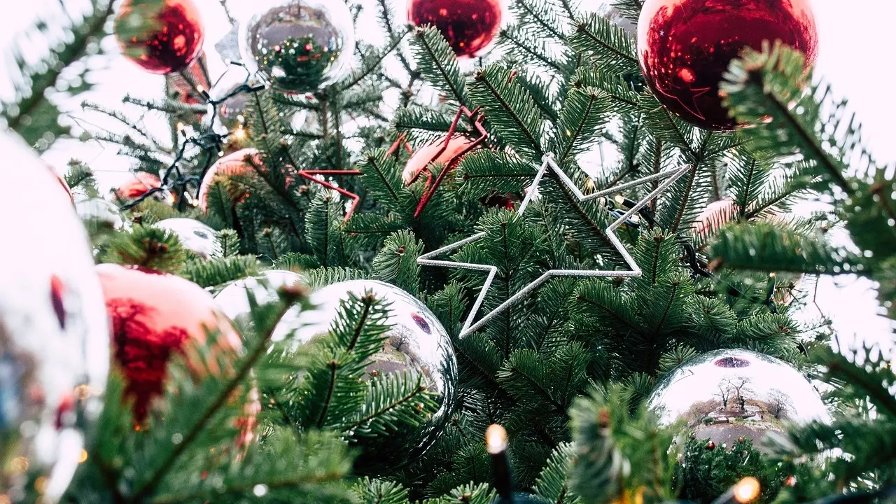 Фото Pixabay.com