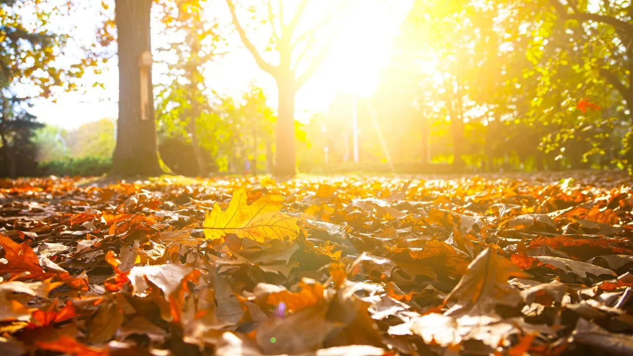 Фото Depositphotos.com