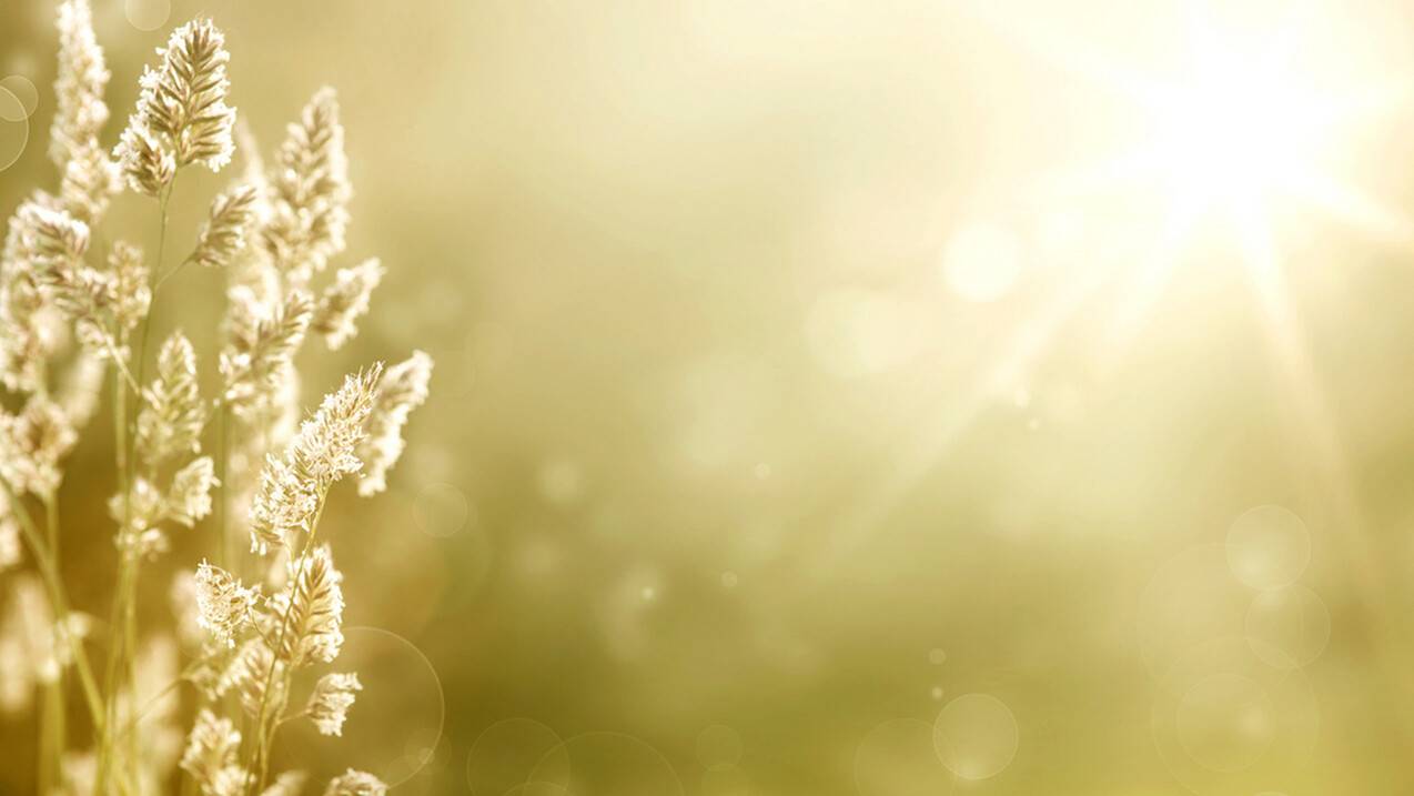 Прогноз погоды на 11 августа: понижение температуры ожидается на севере и в центре Казахстана