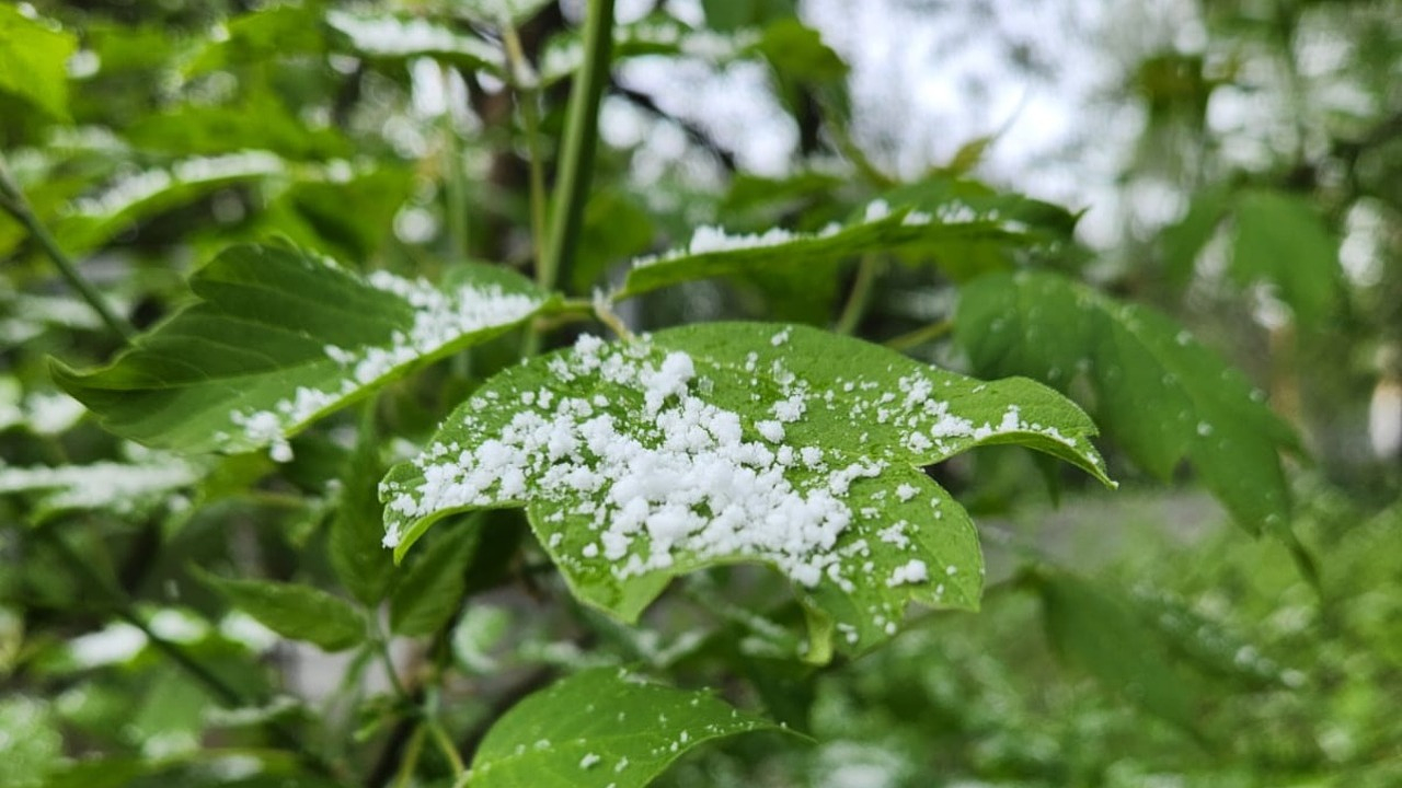 Фото Informburo.kz