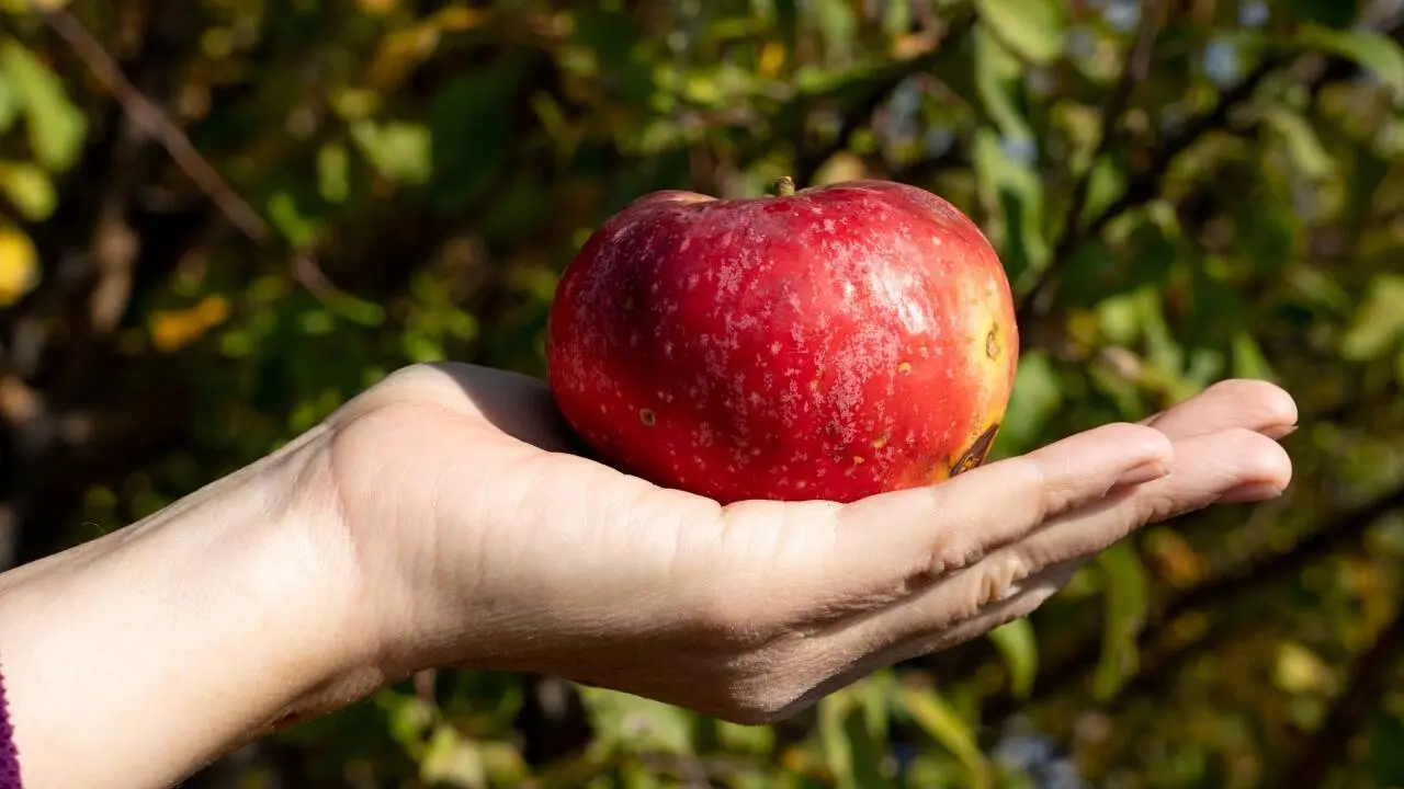 Фото Informburo.kz