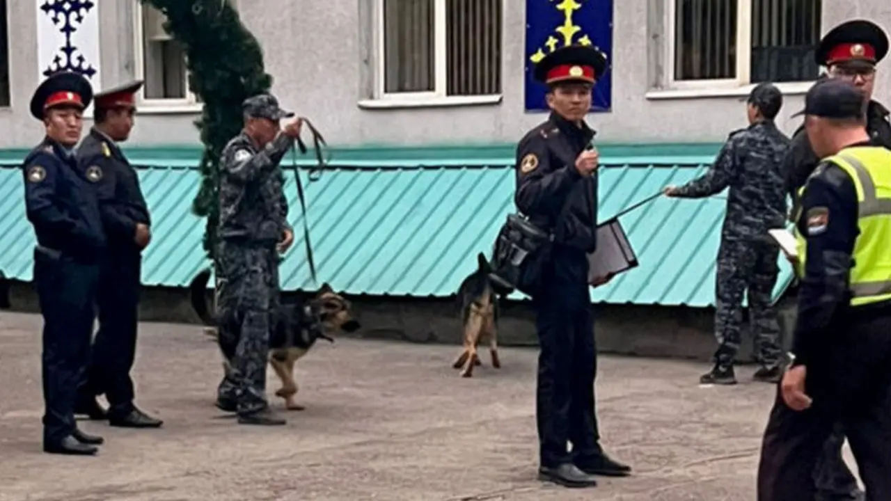 Фото с сайта 24kg