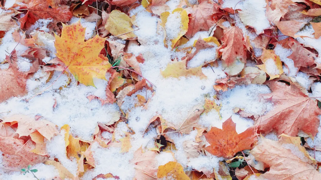 Фото Depositphotos.com