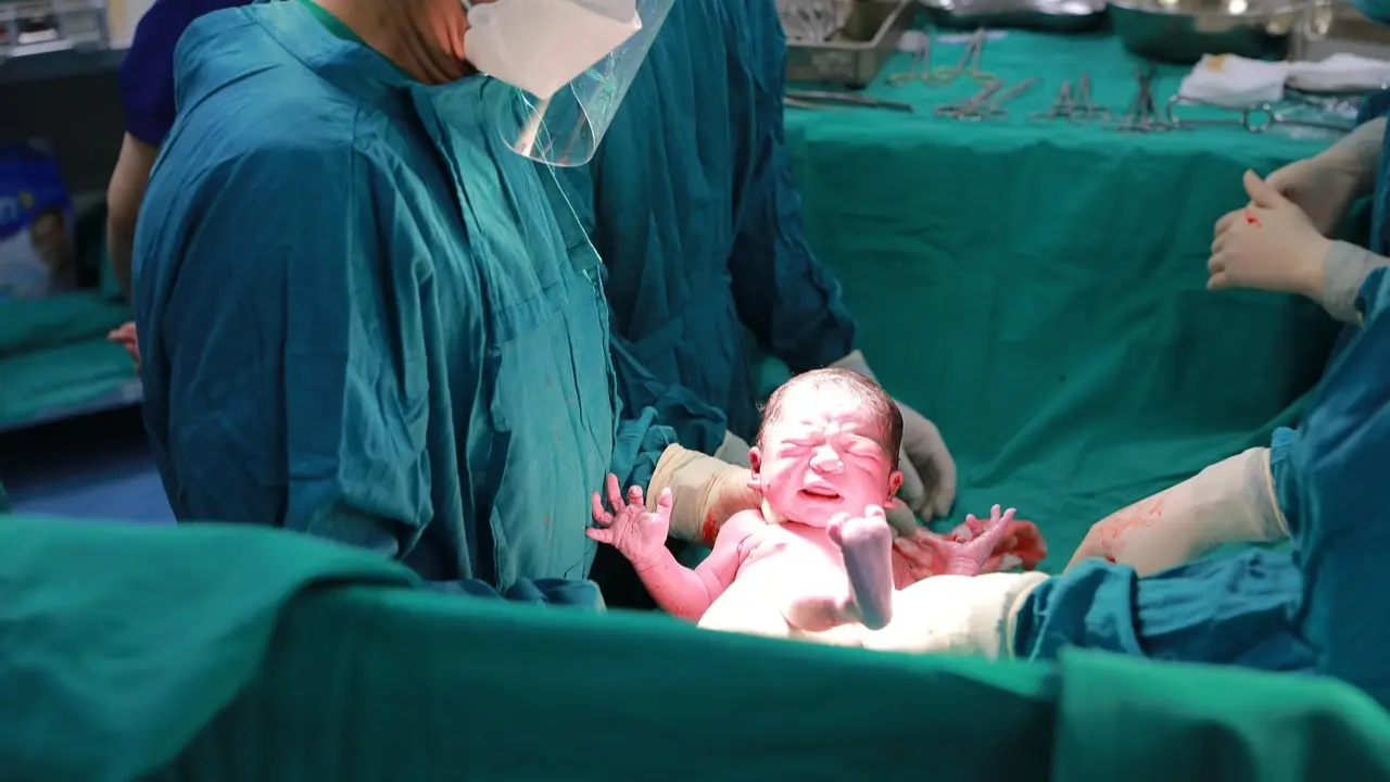 Фото Pixabay.com