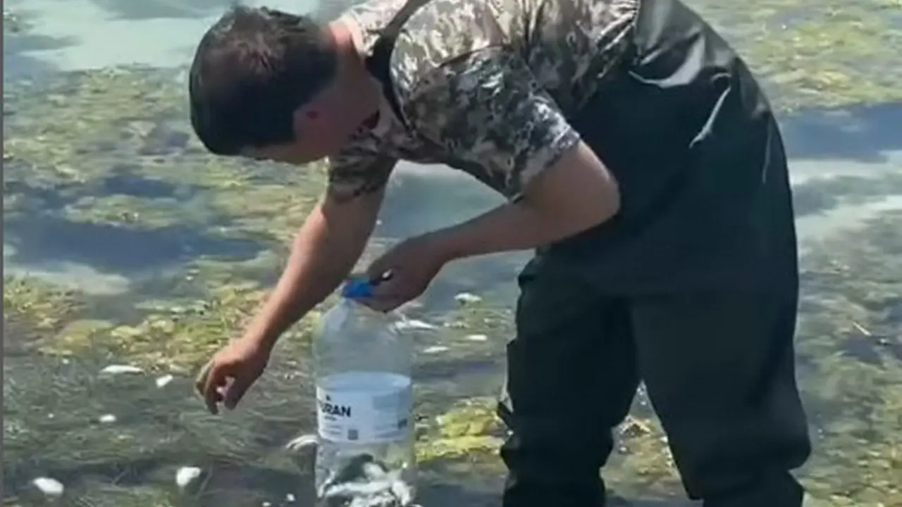 Кадр из видео департамента экологии Мангистауской области