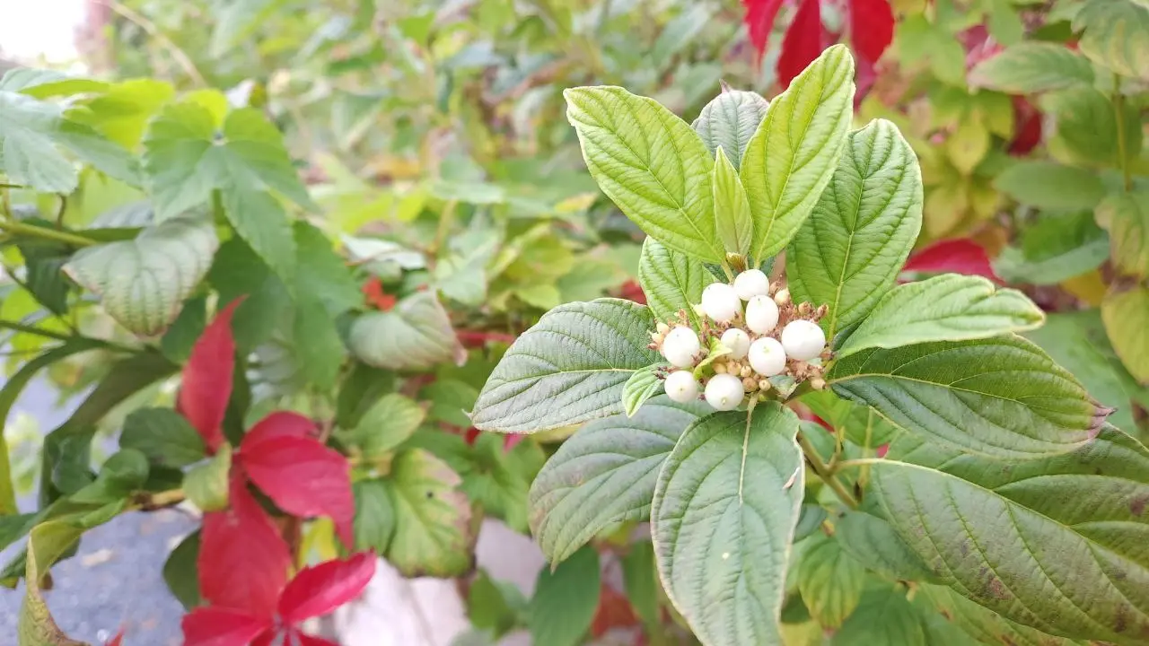 Фото Informburo.kz