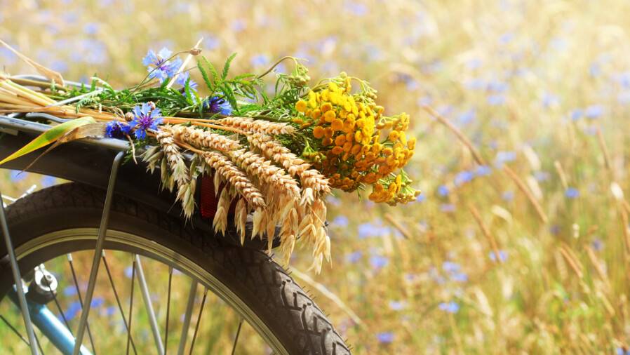 Прогноз погоды на 4 сентября: в Нур-Султане воздух прогреется до +30