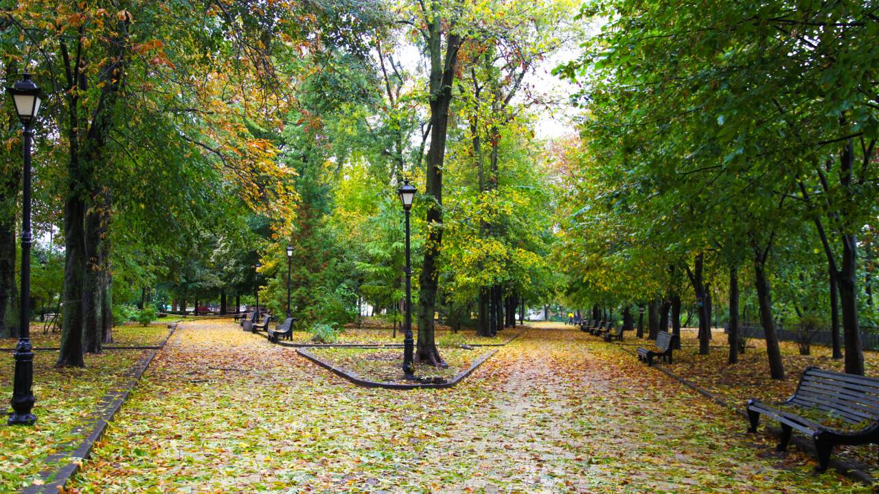 Прогноз погоды на 14 сентября: без осадков ожидается на большей части Казахстана