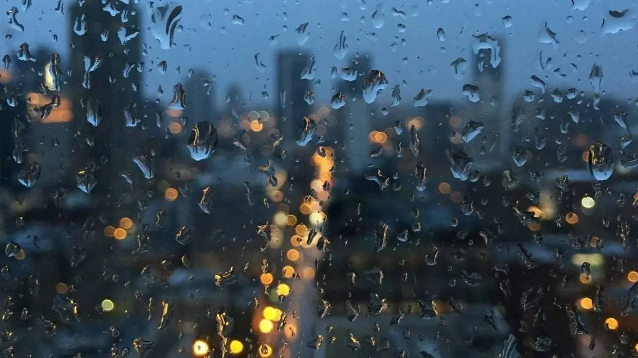 Фото Pixabay.com