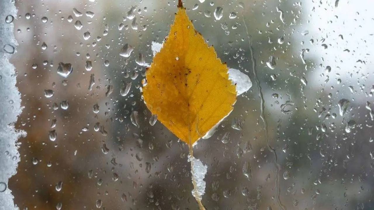 Фото Depositphotos.com