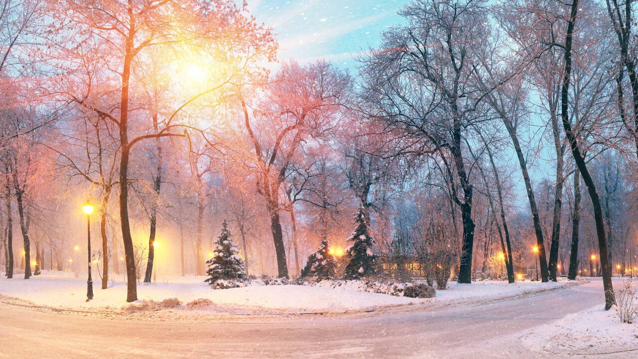 Фото Depositphotos.com