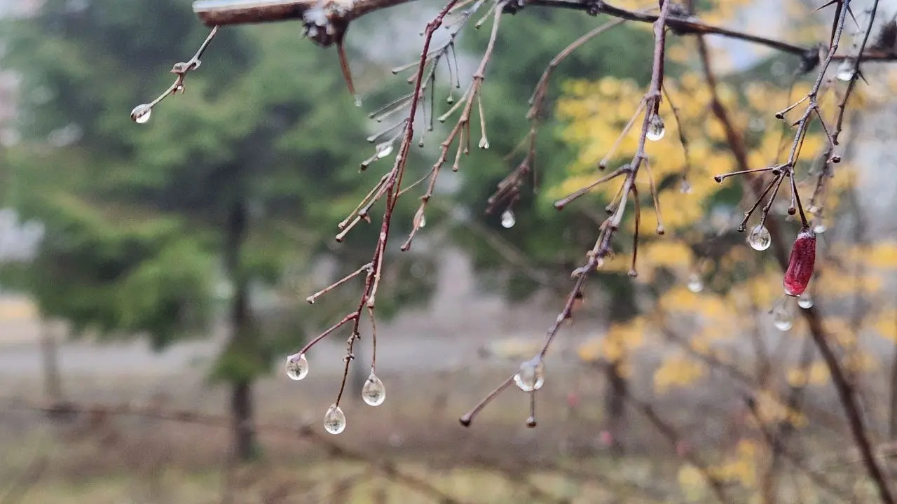 Прогноз погоды на 5 декабря: туман и гололёд ожидаются на большей части территории Казахстана