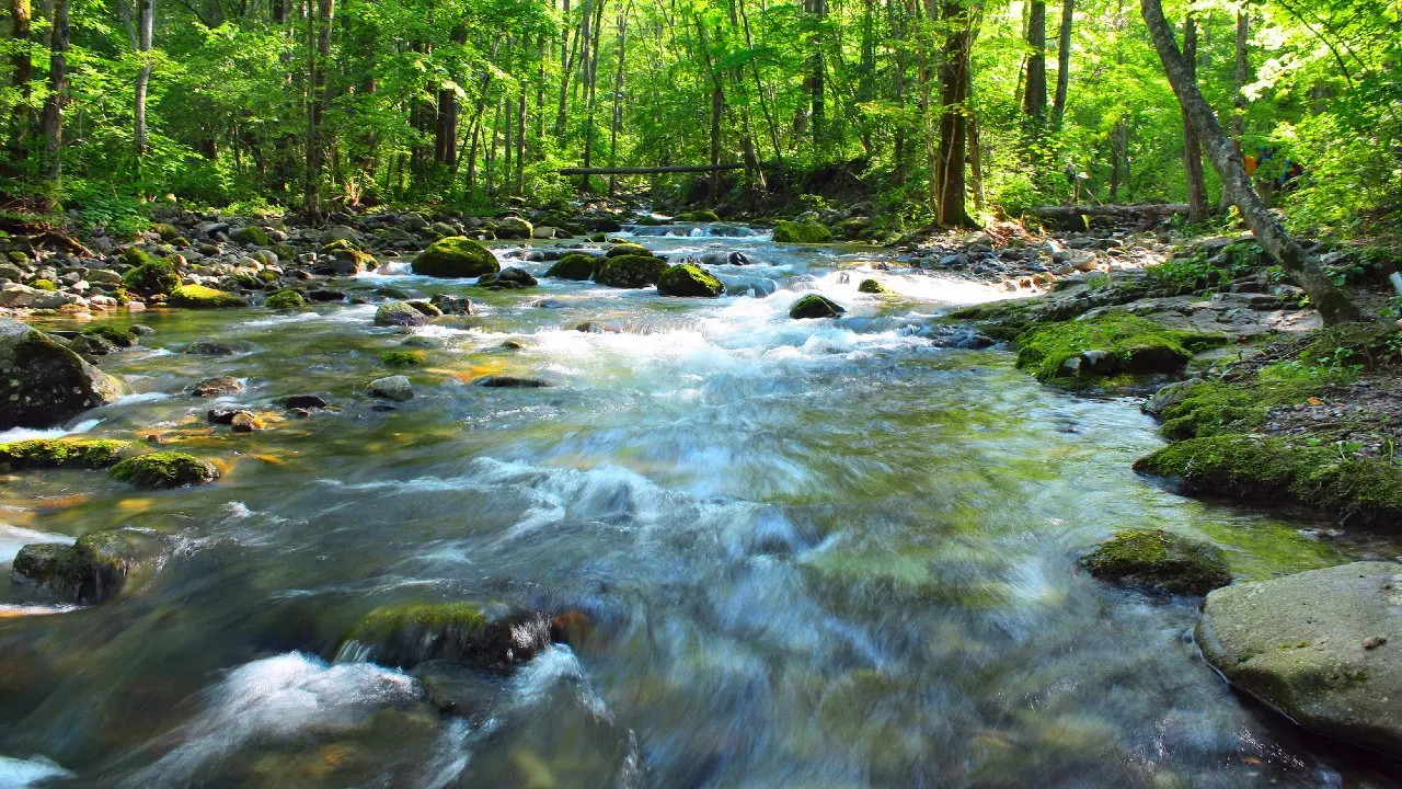 Фото Depositphotos.com