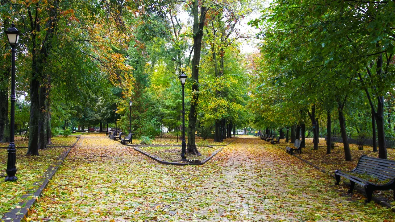 Фото Depositphotos.com